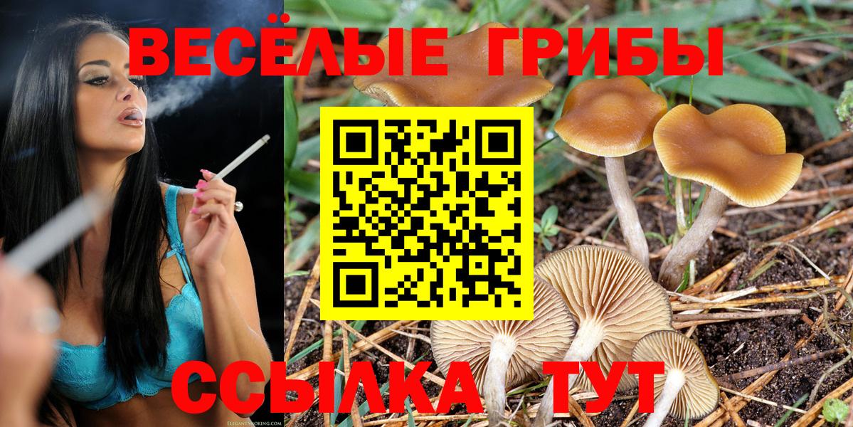 Псилоцибиновые грибы Psilocybe  Вход с VPN  Аргун 